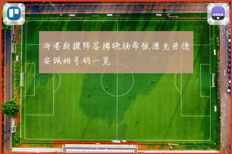 海港新援阵容揭晓杨希张源克劳德安佩姆号码一览