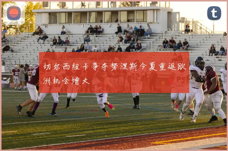 切尔西纽卡争夺努涅斯今夏重返欧洲机会增大